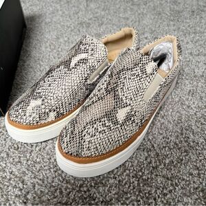 New with box | Ccocci Dream shoe